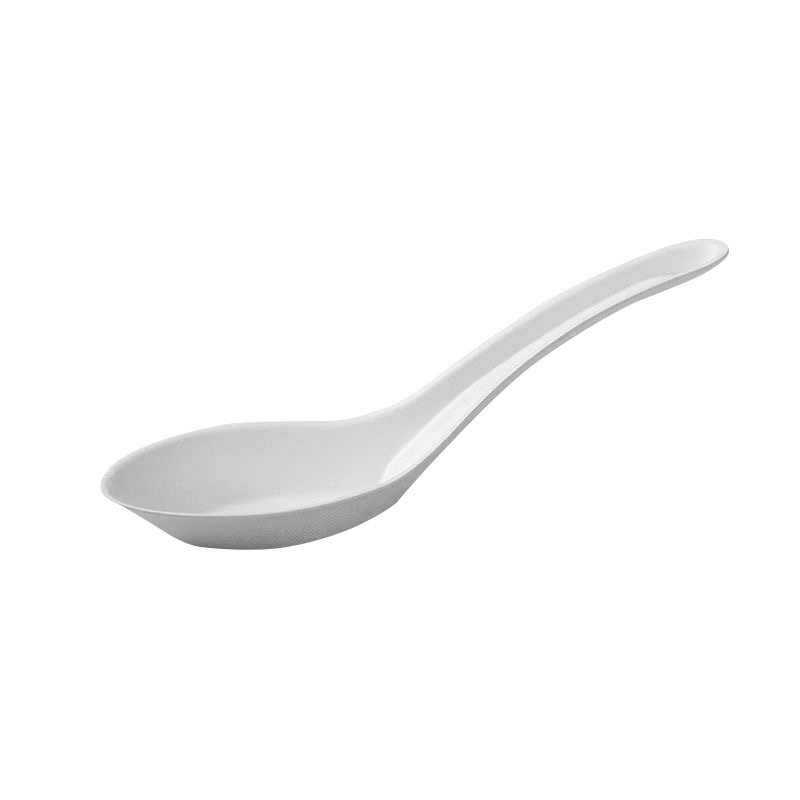 Sugarcane Spoon Manufacturer