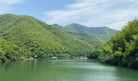 Una escapada panorámica al bosque de bambú de Yixing