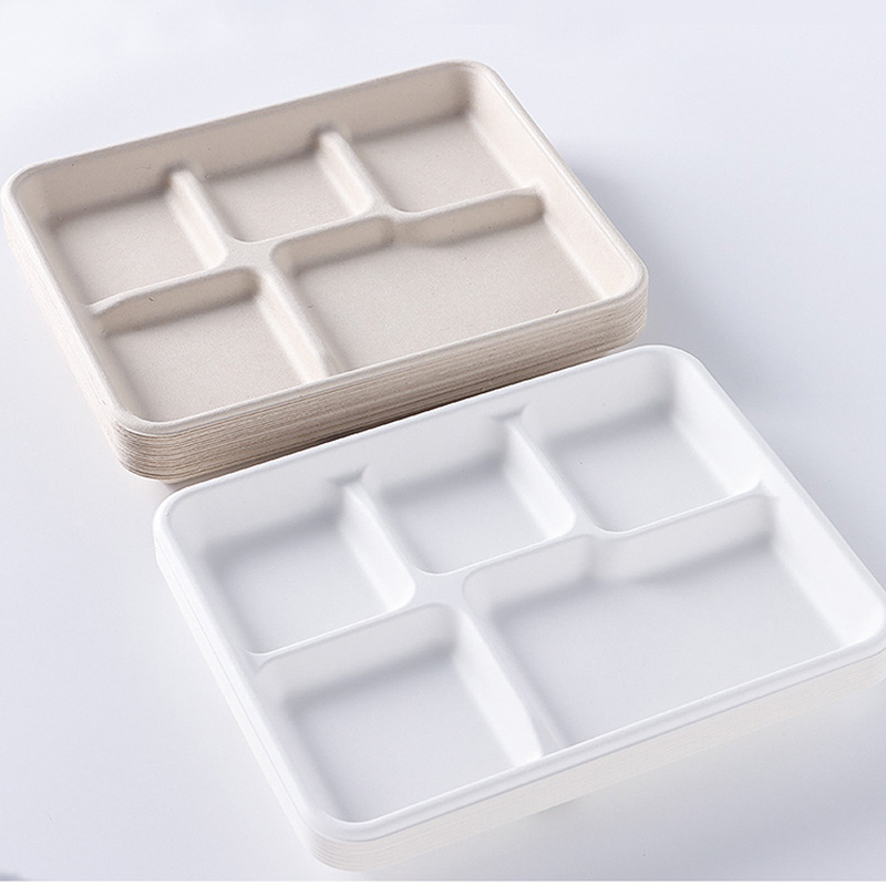 Rectangle Sugarcane Food Tray