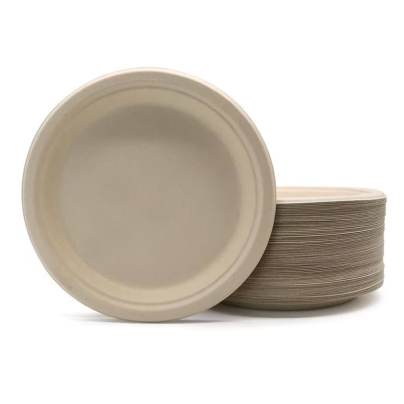 Sugarcane Bagasse Fiber Plate