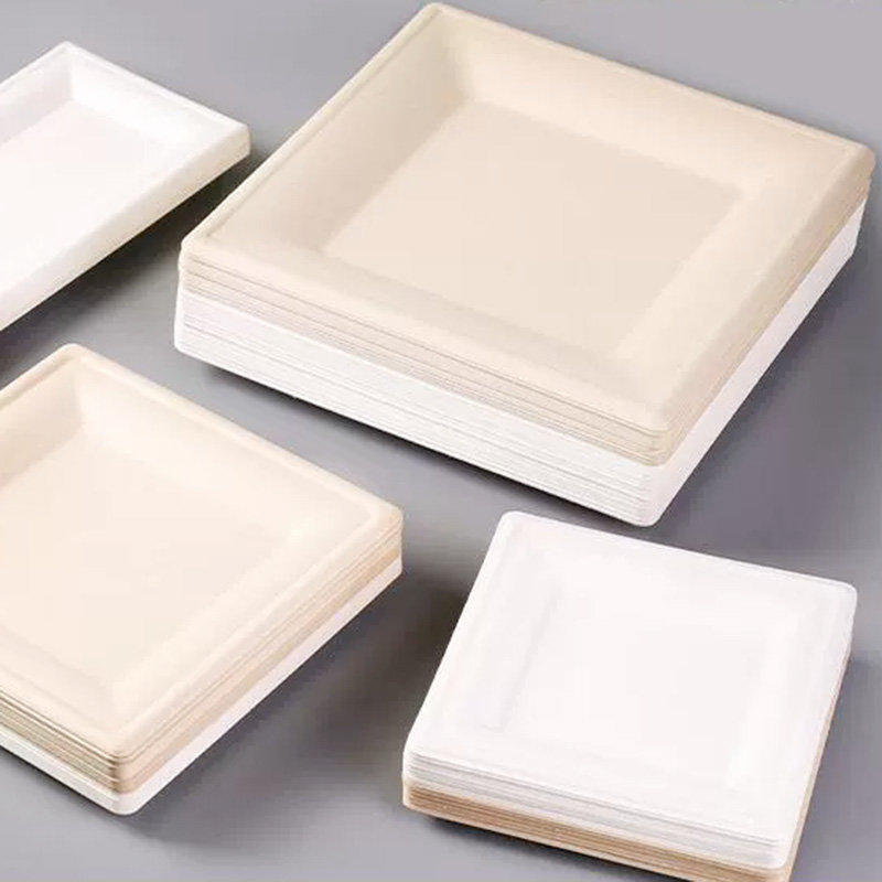 Sugarcane Square Plate