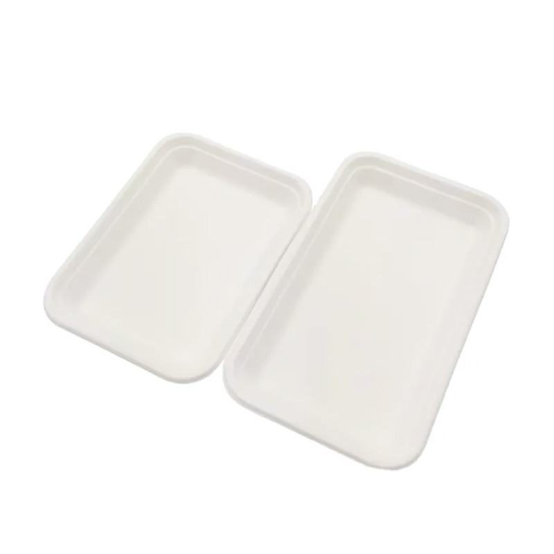 Bagasse Rectangular Tray