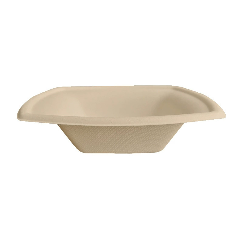 Biodegradable Sugarcane Square Bowls