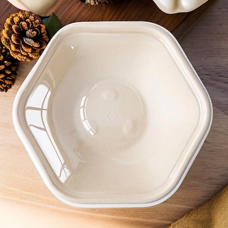 Biodegradable Sugarcane Bowl